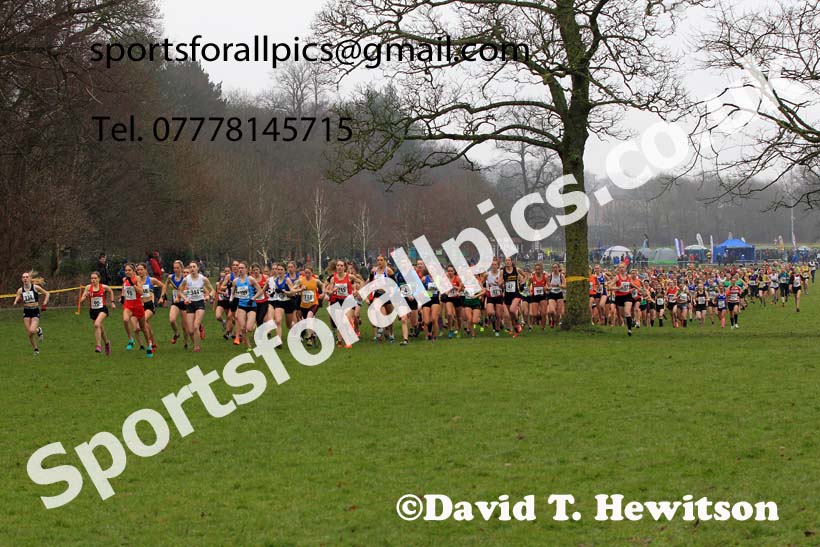 Senior Womens 2023 Northern Cross Country Champs., Witton Park, Blackburn. Photo: David T. Hewitson/Sports for All Pics